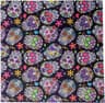 Lens-Aid Chiffon