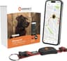 Weenect Chien XT