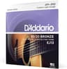 D'Addario EJ13