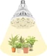 SANSI Lampe LED Horticole 24W