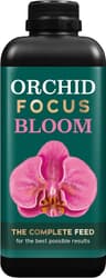 Orchid Focus Bloom