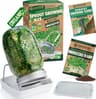 ZenGreens Kit germoir bio