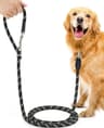 oneisall Laisse pour chiens