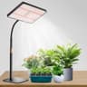 Railee Lampe de Plante