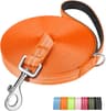 X XBEN Longe pour Chien