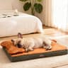Lit orthopédique pour chien