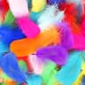 Lot de 600 plumes colorées