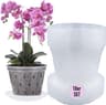 Garten lux Pot à orchidée