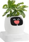 PLANTSIO Ivy Pot