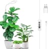 Lampe Spectre Complet