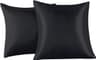 Lot de 2 taies satinées