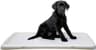 Kerbl Pet Toilettes XL