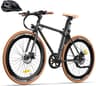Fafrees F1 E Bike